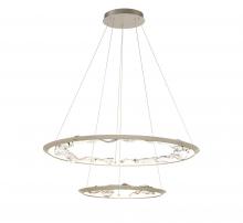 Lib & Co. CA 12164-041 - Nettuno,2 Tier LED Chandelier, Painted Brushed Champagne