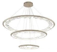 Lib & Co. CA 12165-041 - Nettuno,3 Tier LED Chandelier, Painted Brushed Champagne
