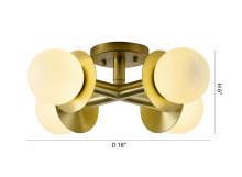 additional image