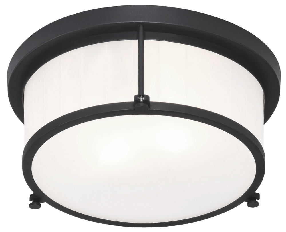 Caisse Claire Matte Black Ceiling Mount