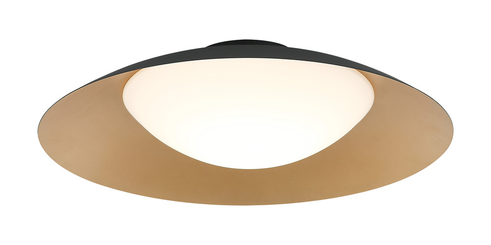 Caravon Black Ceiling Mount