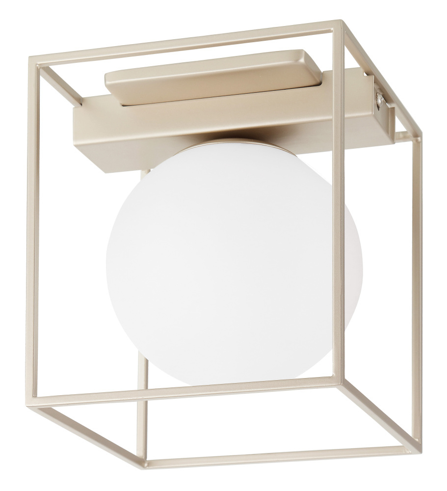 1 LT Ceiling Light w/ Champagne Finish & White Glass Shade