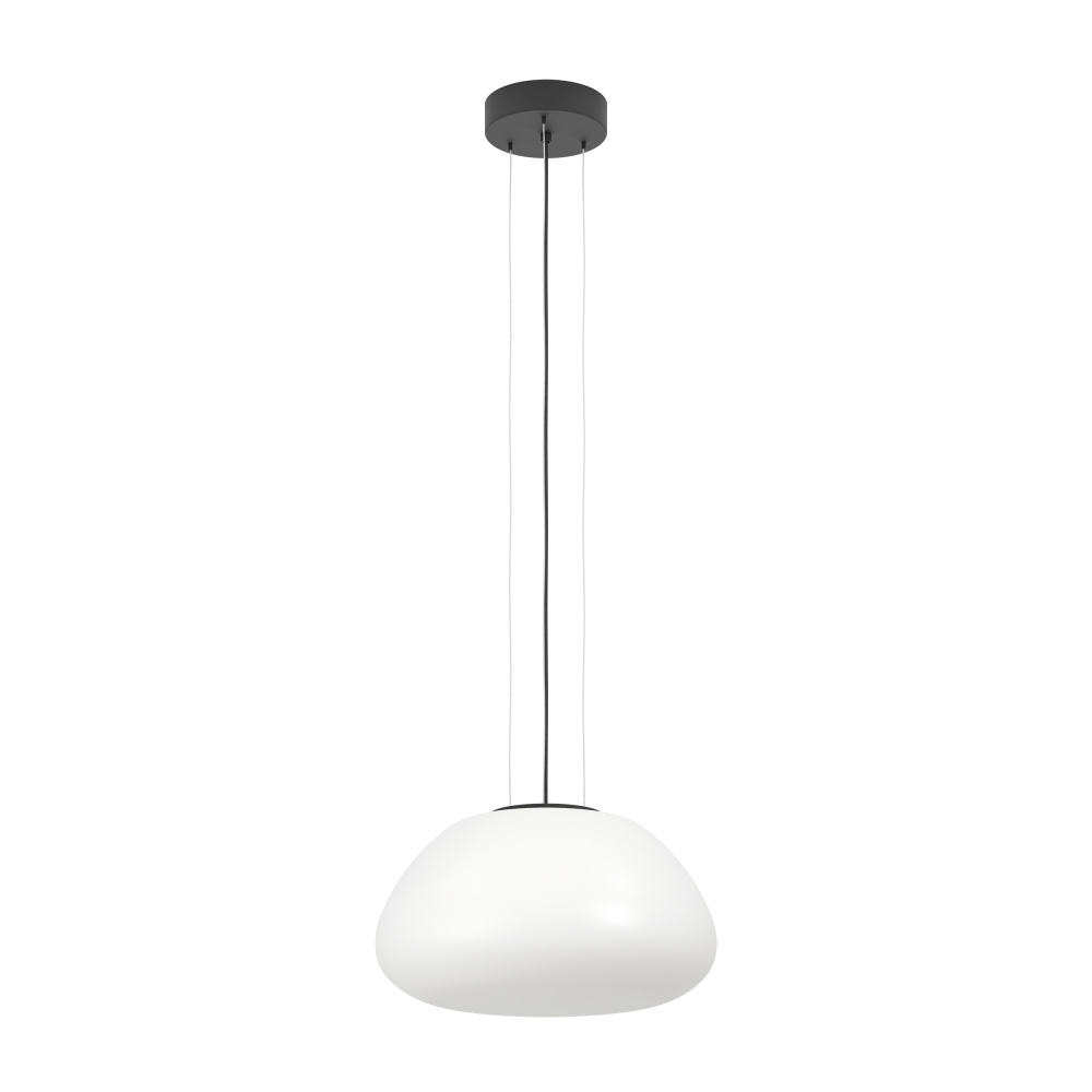 1 LT Pendant w/ Black Finish & White Opal Glass Shade